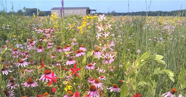 Grand opening for the Discover Huffman Prairie Project