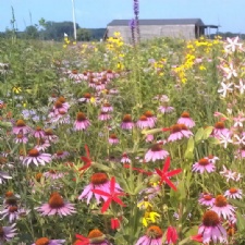 Grand opening for the Discover Huffman Prairie Project