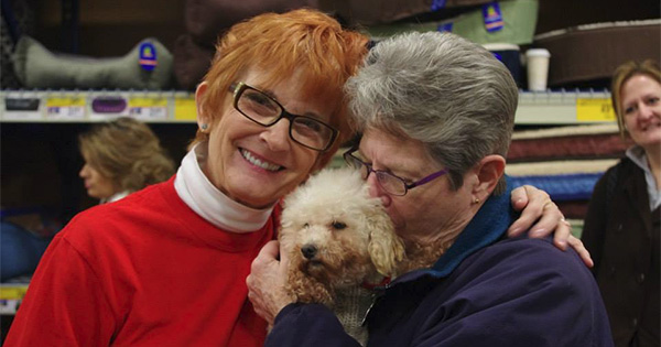 Luv4K9s Dog Adoption Event at Petsmart East of Dayton Mall