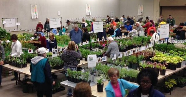 Mayfair Plant Sale at 2nd Street Market