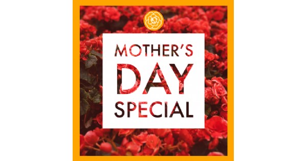 Mother's Day Special at the LM&M Railroad Railroad