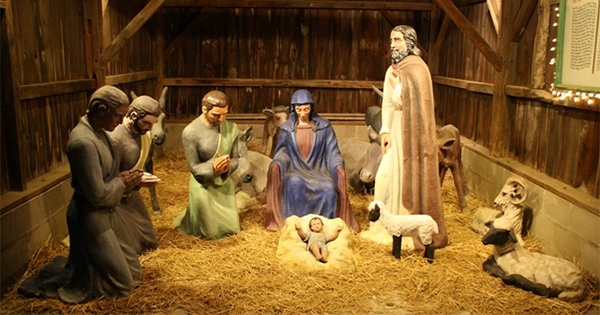 Niederman Christmas Farm