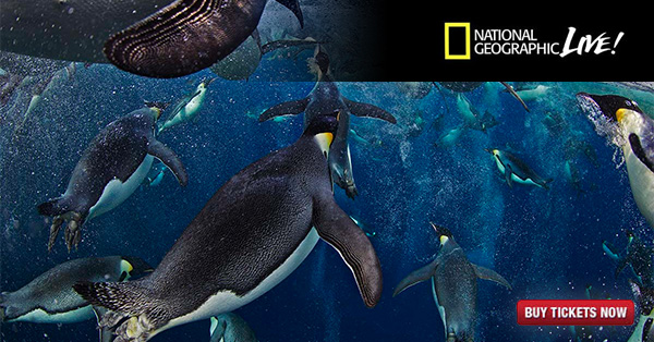 Polar Obsession: Photography from the Ends of the Earth