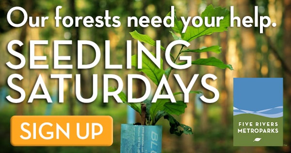 seedling saturdays in five rivers metroparks