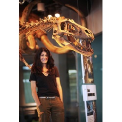 T. Rex Rises With Lindsay Zanno