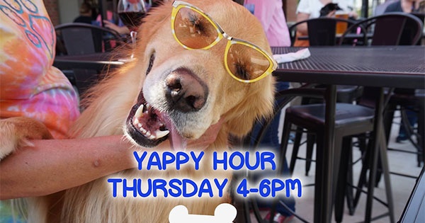Third Thursday Yappy Hour at Austin Landing