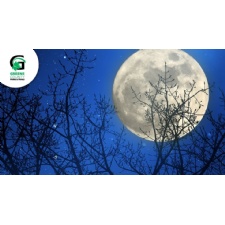 Full Moon Hike at Cemex Reserve