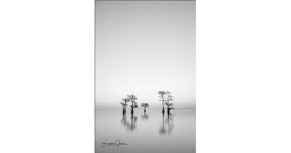 Laura James Art Talk