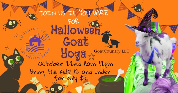 Halloween Goat Yoga at Sunshine Acres Lavender Farm