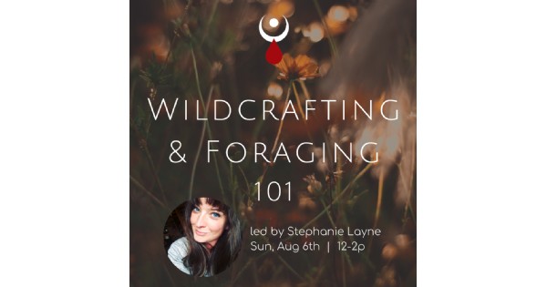 Wildcrafting & Foraging 101 W/ Stephanie