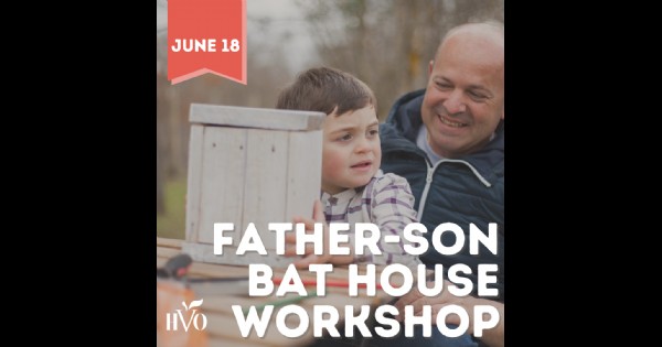 Fathers Day Bat House Workshop