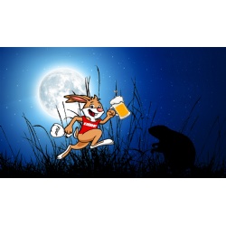 DH4 #1564 Beaver Full Moon (Run/Walk)