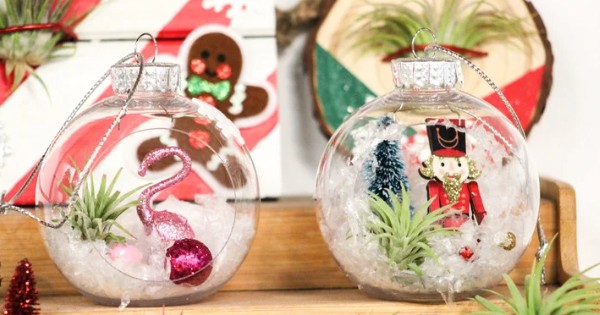 Create A Live Air Plant Ornament