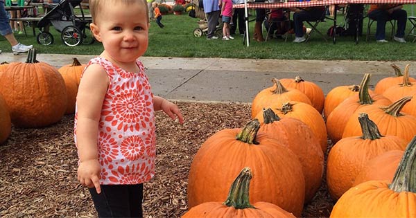 Fall Farm Pumpkin Festival at Youngs