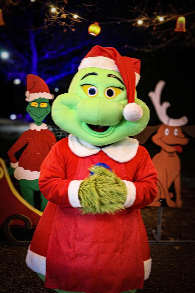 Woodland Lights Character Nights