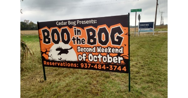 Boo in the Bog