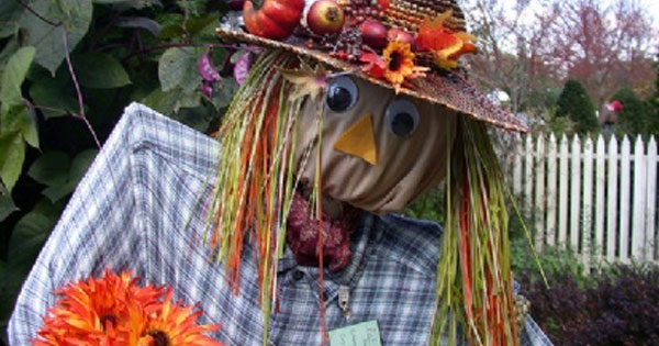 Four reasons not to miss MetroParks' family Halloween celebration
