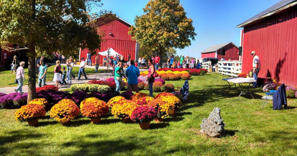 Fall Farm Fest at Lost Creek Reserve