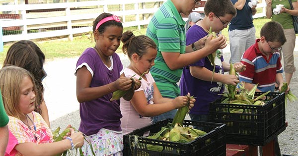 Fulton Farm Sweet Corn Festival