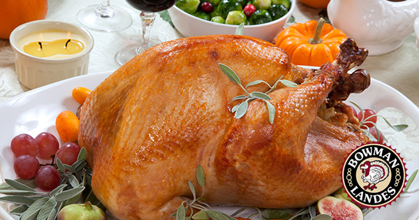 Bowman Landes Thanksgiving Turkeys