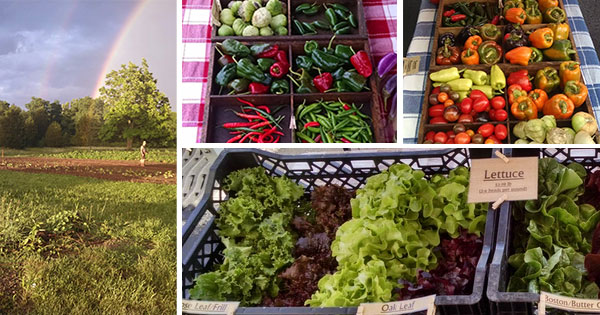 Local farmer turns to KickStarter