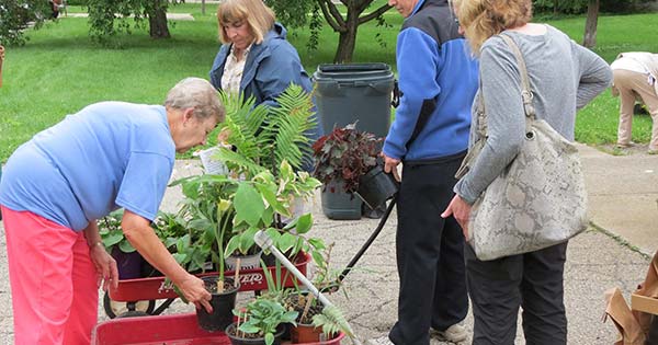 Bellbrook Garden Club Plant Sale