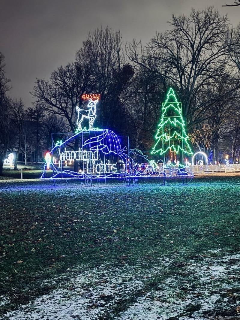 Woodland Lights Christmas Lights