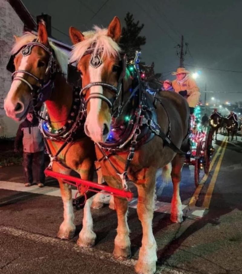 Yuletide Winter's Gathering