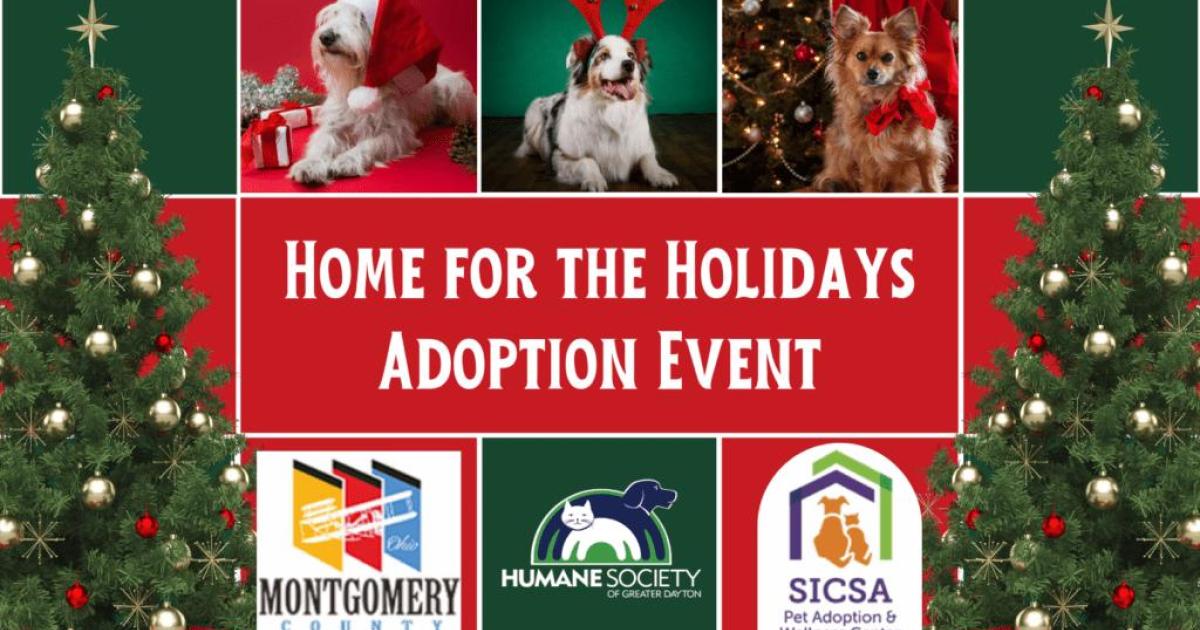 Home for the Holidays Pet Adoption Event