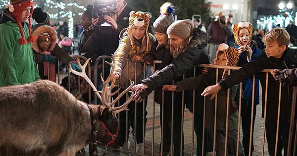 Reindeer petting zoo at the Dayton Holiday Festival