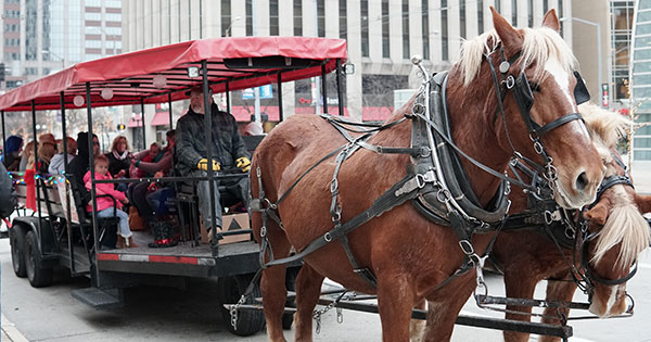 Take a scenic ride through downtown on a horse-drawn wagon