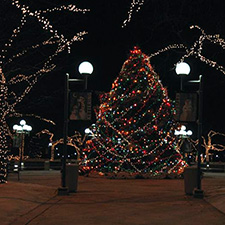 Kettering OH Christmas Tree