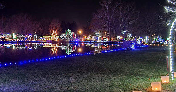 Woodland Lights 2022