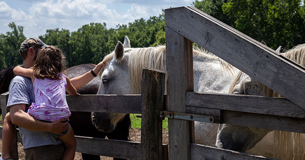 Celebrate healthy eating and sustainable living during MetroParks' Small Farm & Food Fest