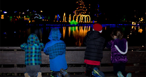 Woodland Lights Holiday Festival to return for Christmas 2020