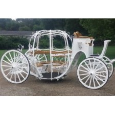Adkins Willow Wind Carriage
