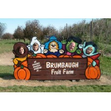 Brumbaugh Fruit and Fun Farm