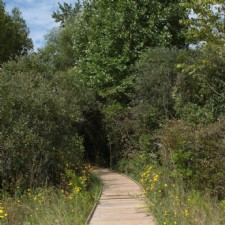 Cedar Bog Nature Preserve