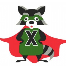 Dayton Wildlife Removal