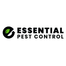 Essential Pest