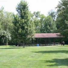 Forest Field Park