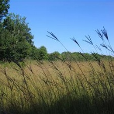 Goode Prairie Preserve