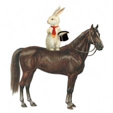 Horse & Hare Co.