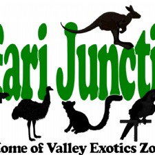 Safari Junction