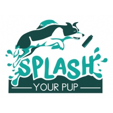 Splash Your Pup