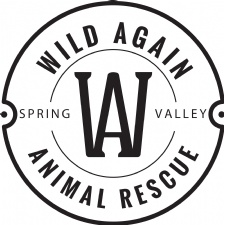 Wild Again rescue