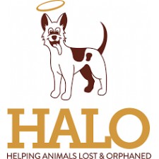 Helping Animals Lost and Orphaned (HALO)