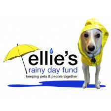 Ellie's Rainy Day Fund