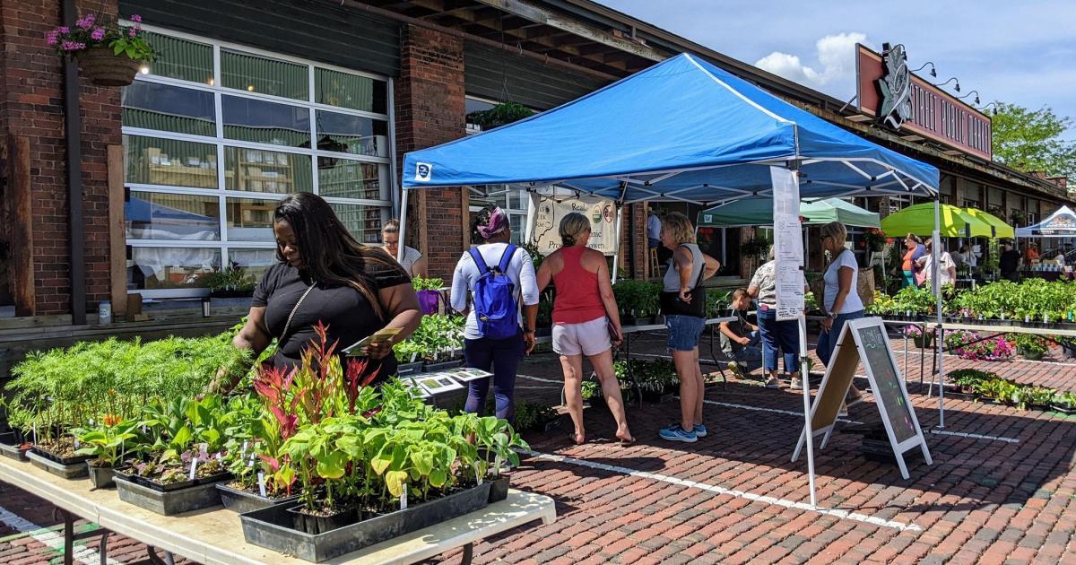 Native Plant Sale at 2nd Street Market