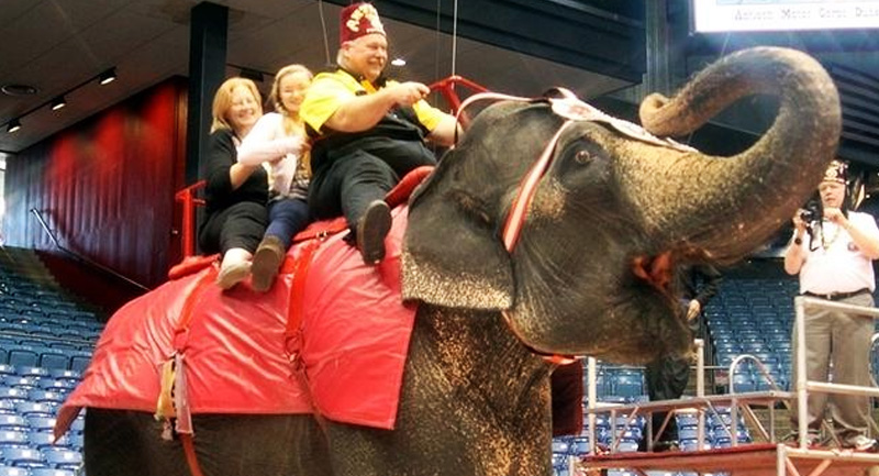 Elephant Rides at the Antioch Shrine Circus